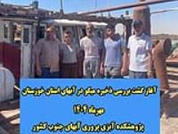 بررسی وضعیت ذخایر میگو در خوزستان باهدف حفاظت پایدار و اقتصاد جامعه صیادی