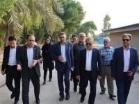 بازدید غلامرضا گل محمدی، معاون وزیر جهاد کشاورزی و رئیس سازمان تحقیقات، آموزش و ترویج کشاورزی از پژوهشکده