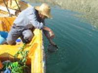 نمونه‌برداری مرحله دوم پایش کیفی آب و رسوبات مخزن سد مارون بهبهان با حضور کارشناسان طرح در آبان‌ماه انجام شد.