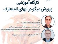 تدریس در کارگاه آموزشی پرورش میگو در آب‌های نامتعارف