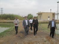 بازدید مدیرکل شیلات خوزستان از پژوهشکده آبزی پروری آب های جنوب کشور
